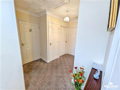 Picture 5
